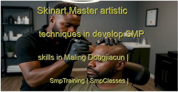 Skinart Master artistic techniques in develop SMP skills in Maling Dongjiacun | SmpTraining | SmpClasses | SkinartTraining-China